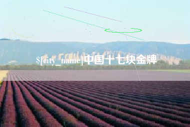 襄阳中国十七块金牌