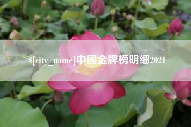 襄阳中国金牌榜明细2021