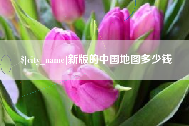 襄阳新版的中国地图多少钱