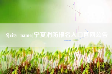 襄阳宁夏消防报名入口官网公告