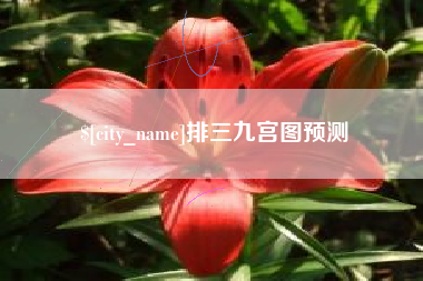 襄阳排三九宫图预测
