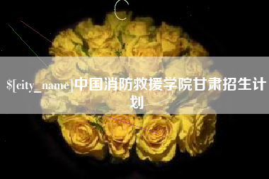 襄阳中国消防救援学院甘肃招生计划