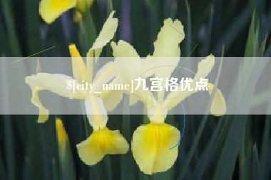 襄阳九宫格优点