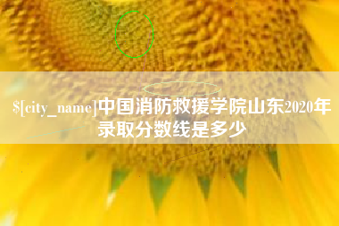襄阳中国消防救援学院山东2020年录取分数线是多少