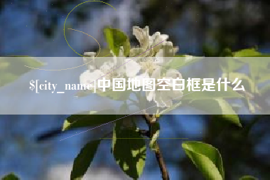 襄阳中国地图空白框是什么