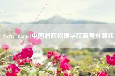 襄阳中国消防救援学院高考分数线