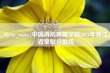 襄阳中国消防救援学院2021年浙江省录取分数线