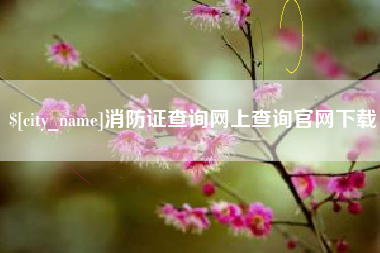 襄阳消防证查询网上查询官网下载