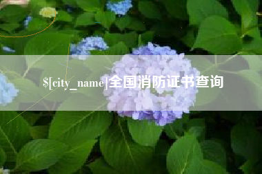 襄阳全国消防证书查询