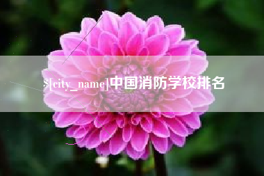 襄阳中国消防学校排名