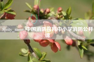 襄阳中国消防官网中小学消防公开课