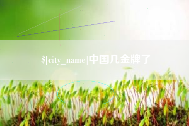 襄阳中国几金牌了