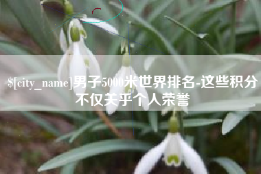 襄阳男子5000米世界排名-这些积分不仅关乎个人荣誉