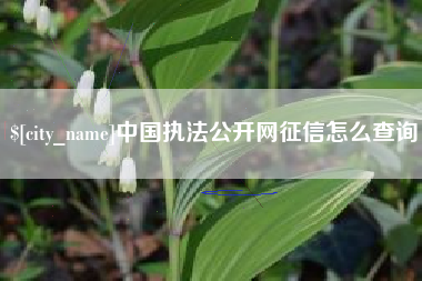 襄阳中国执法公开网征信怎么查询