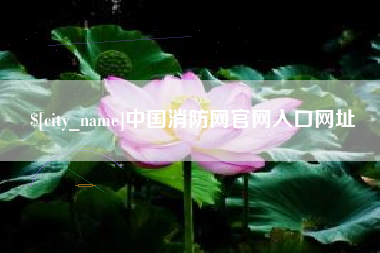 襄阳中国消防网官网入口网址