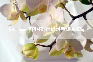 襄阳中国执行记录查询系统app
