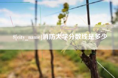 襄阳消防大学分数线是多少