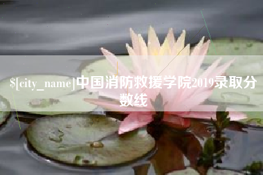 襄阳中国消防救援学院2019录取分数线