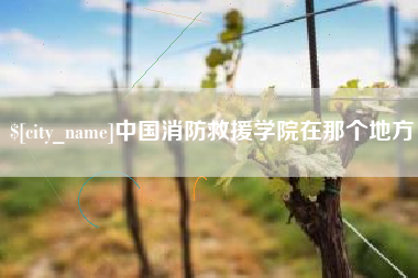 襄阳中国消防救援学院在那个地方