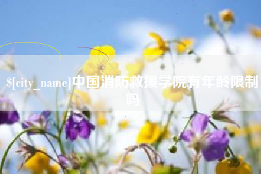 襄阳中国消防救援学院有年龄限制吗