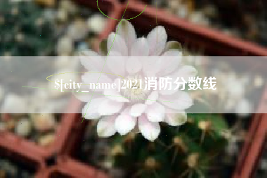 襄阳2021消防分数线