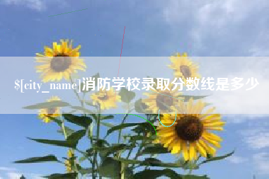 襄阳消防学校录取分数线是多少