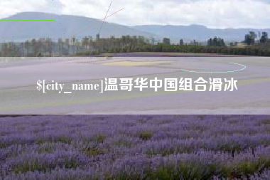 襄阳温哥华中国组合滑冰