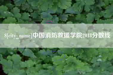 襄阳中国消防救援学院2018分数线