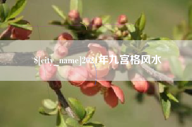 襄阳2021年九宫格风水