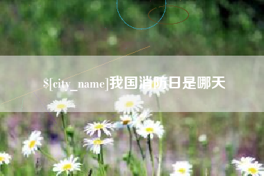 襄阳我国消防日是哪天