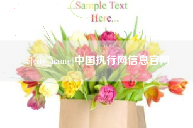 襄阳中国执行网信息官网