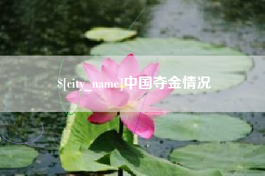 襄阳中国夺金情况