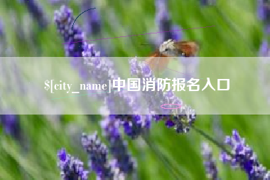 襄阳中国消防报名入口