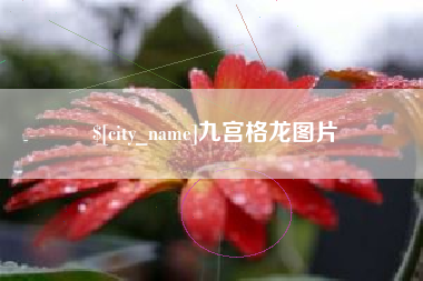襄阳九宫格龙图片