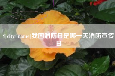 襄阳我国消防日是哪一天消防宣传日