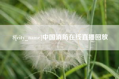 襄阳中国消防在线直播回放