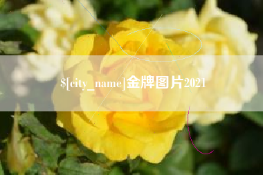 襄阳金牌图片2021
