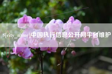 襄阳中国执行信息公开网平台维护