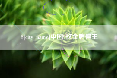 襄阳中国9枚金牌得主