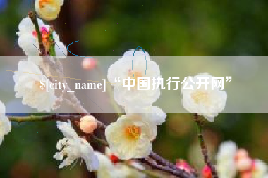 襄阳“中国执行公开网”