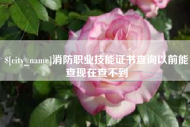襄阳消防职业技能证书查询以前能查现在查不到