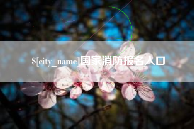 襄阳国家消防报名入口