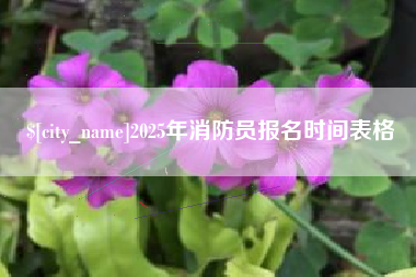 襄阳2025年消防员报名时间表格