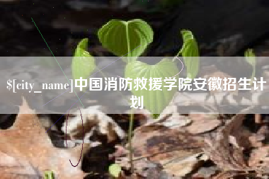襄阳中国消防救援学院安徽招生计划