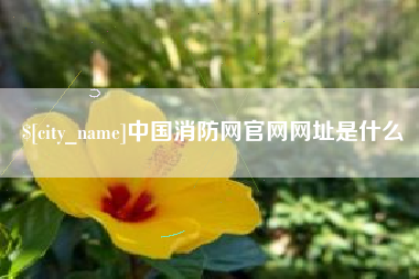 襄阳中国消防网官网网址是什么