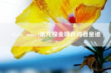 襄阳第九枚金牌获得者是谁