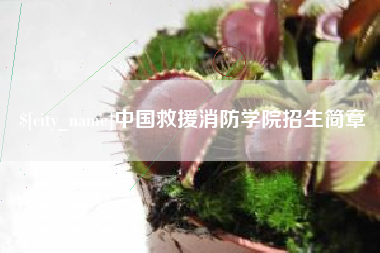 襄阳中国救援消防学院招生简章