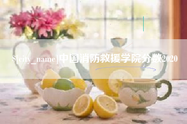 襄阳中国消防救援学院分数2020
