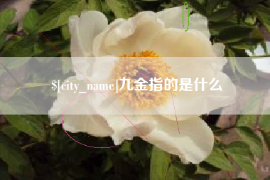 襄阳九金指的是什么
