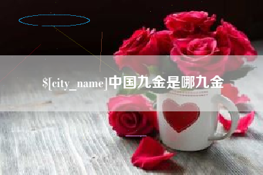 襄阳中国九金是哪九金